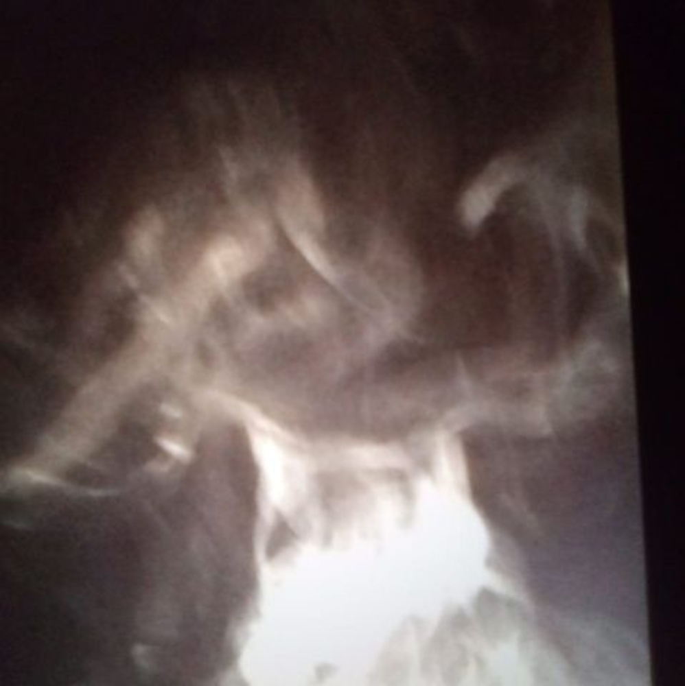 Meet your Posher, Trina